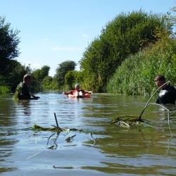 oss swim the thames